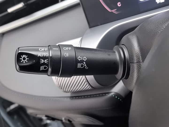 Фото 21 - GAC Trumpchi Emkoo