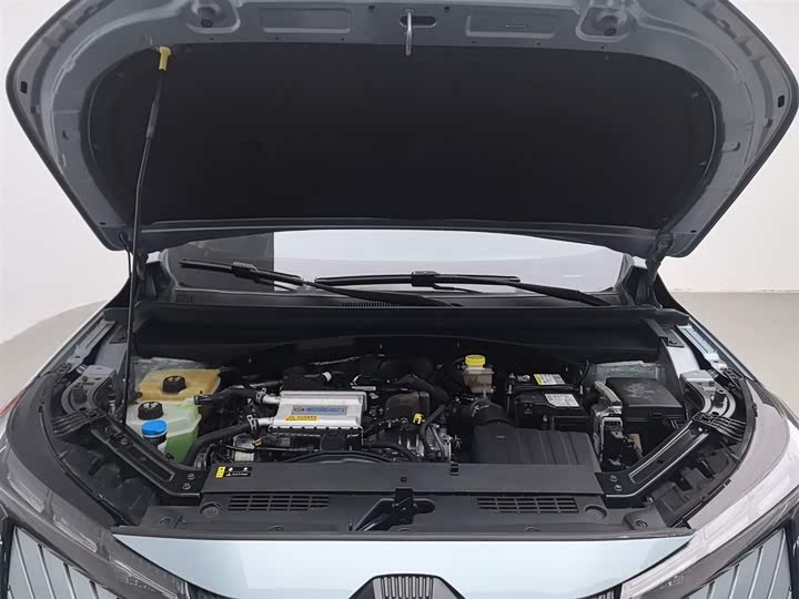 Фото 6 - GAC Trumpchi Emkoo