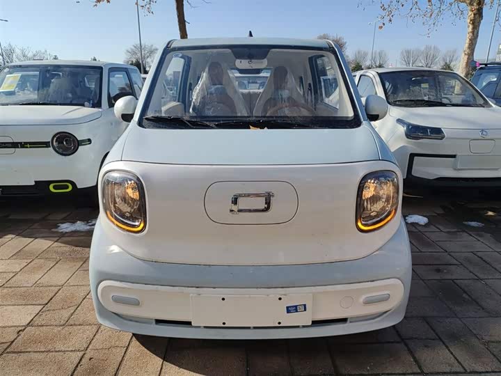 Фото 3 - Bestune Pony