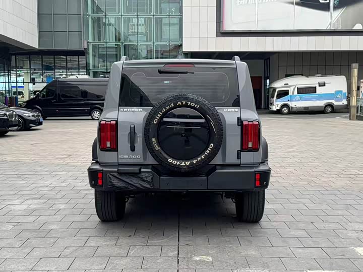 Фото 4 - Tank 300