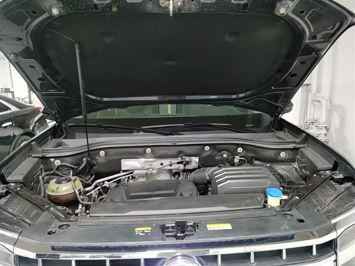 Фото 20 - Volkswagen Teramont Pro