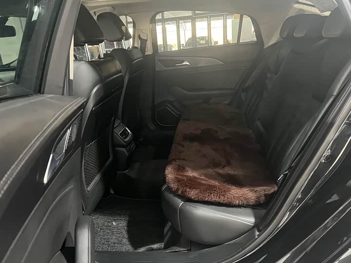 Фото 6 - Hongqi H5