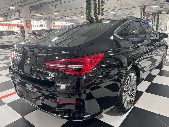 Фото 9 - Hongqi H5