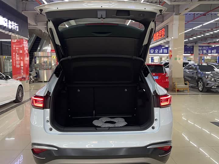 Фото 14 - Volkswagen ID.4 X