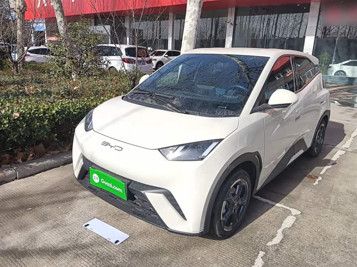 Фото 2 - BYD Seagull