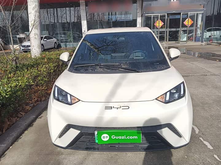 Фото 3 - BYD Seagull