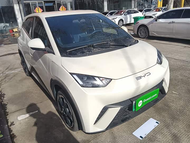 Фото 4 - BYD Seagull