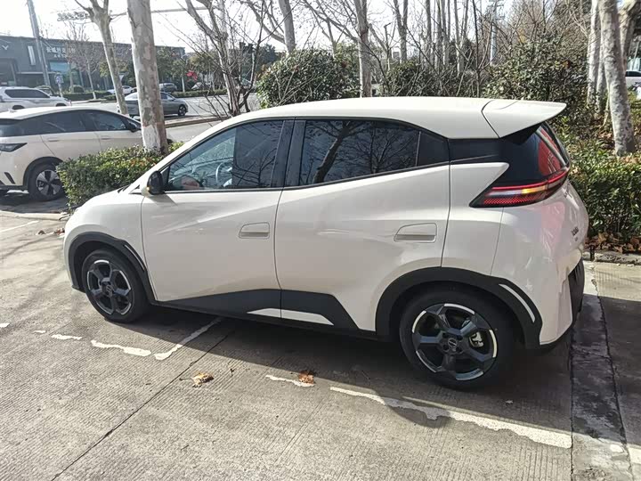 Фото 5 - BYD Seagull