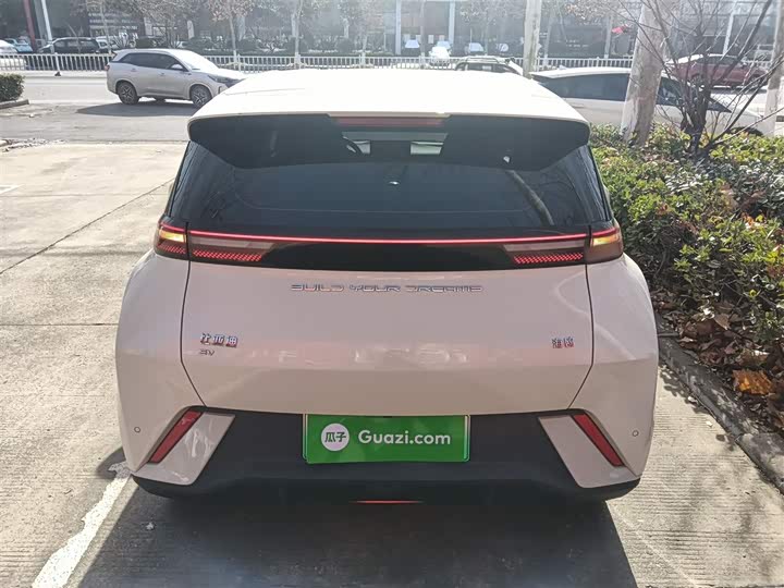 Фото 6 - BYD Seagull