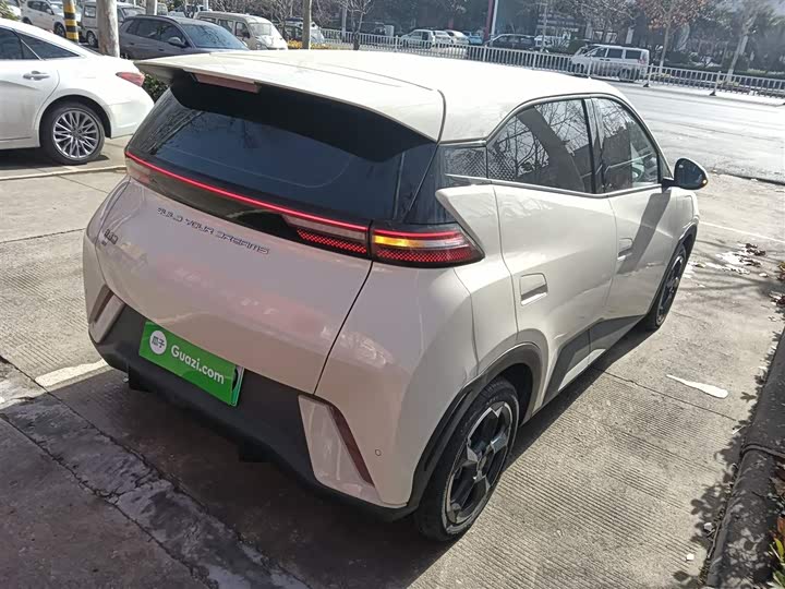 Фото 7 - BYD Seagull