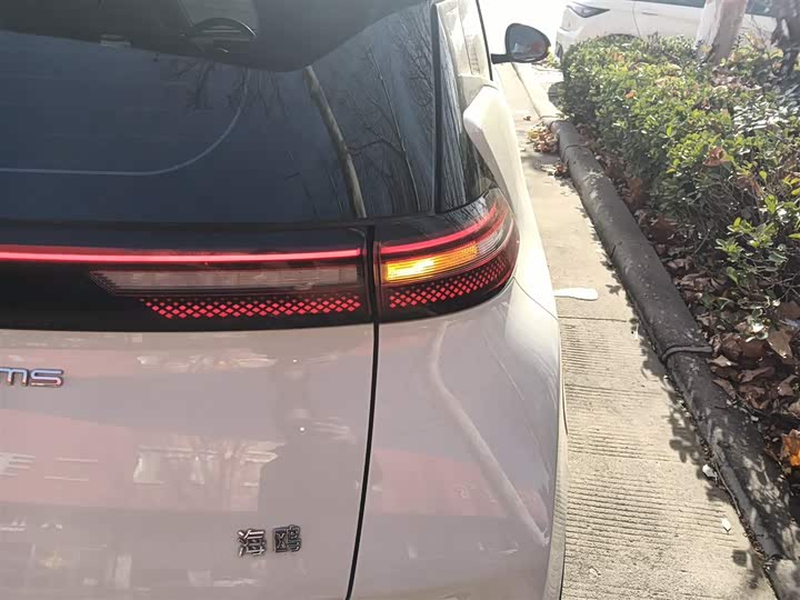 Фото 8 - BYD Seagull