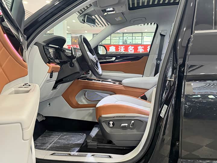 Фото 5 - Volkswagen Teramont Pro