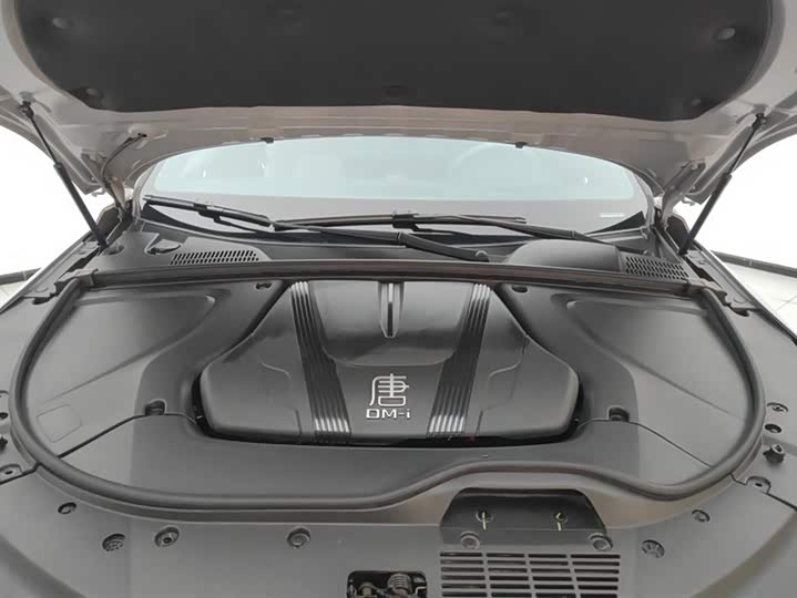 Фото 10 - BYD Tang Hybrid/EV