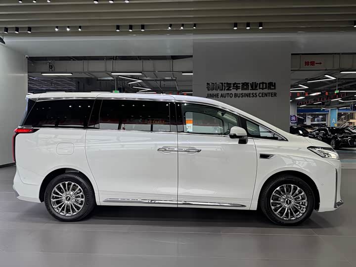 Фото 4 - Wey Gaoshan