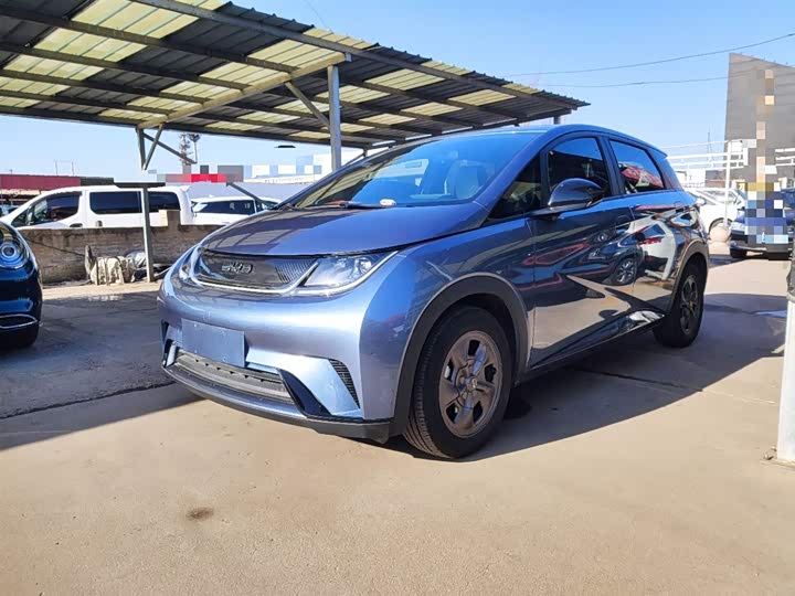 Фото 1 - BYD Dolphin