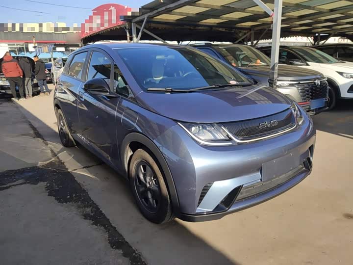 Фото 4 - BYD Dolphin