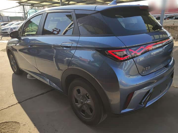 Фото 5 - BYD Dolphin