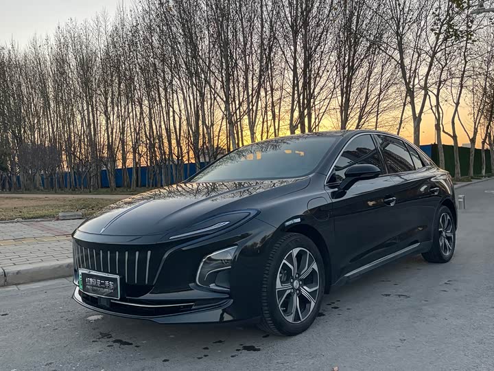 Фото 1 - Hongqi E-QM5