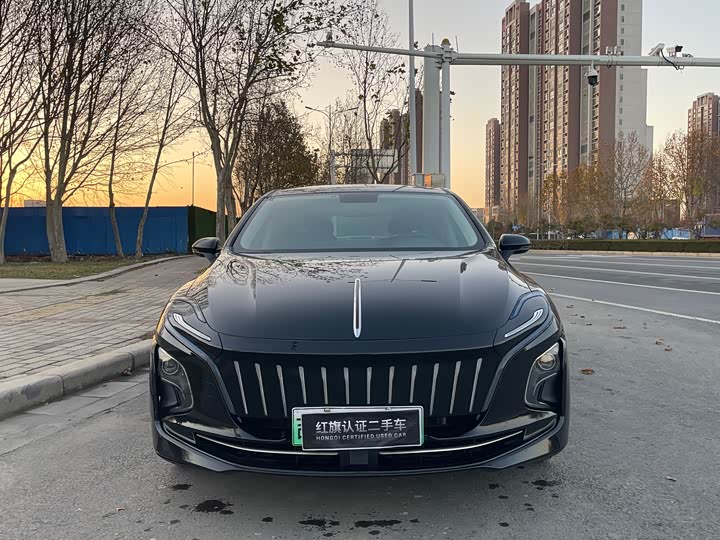 Фото 2 - Hongqi E-QM5