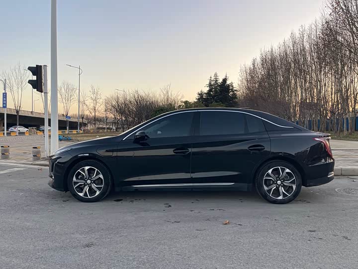 Фото 4 - Hongqi E-QM5