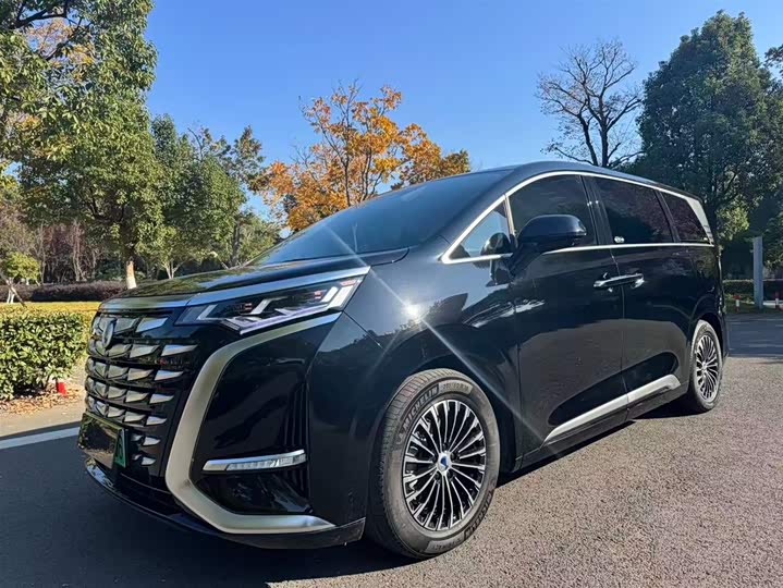 Фото 1 - Denza D9