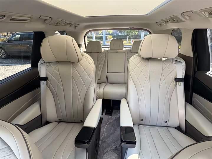 Фото 10 - Denza D9