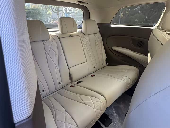 Фото 11 - Denza D9