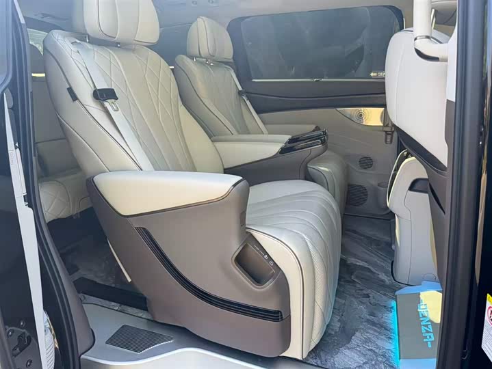 Фото 13 - Denza D9