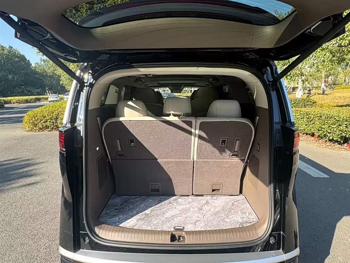 Фото 15 - Denza D9