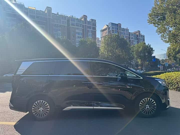 Фото 4 - Denza D9