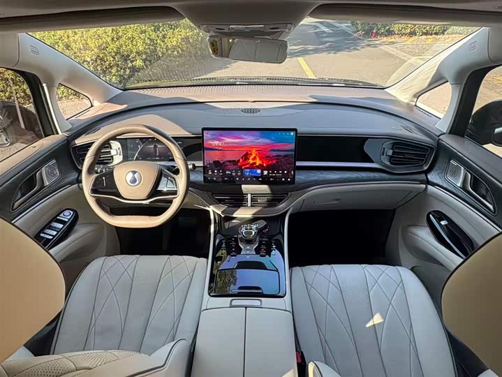 Фото 8 - Denza D9