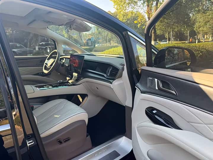 Фото 9 - Denza D9