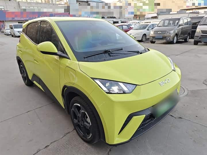 Фото 4 - BYD Seagull