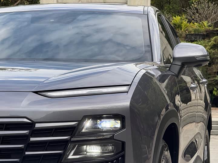 Фото 4 - Jetour Dashing