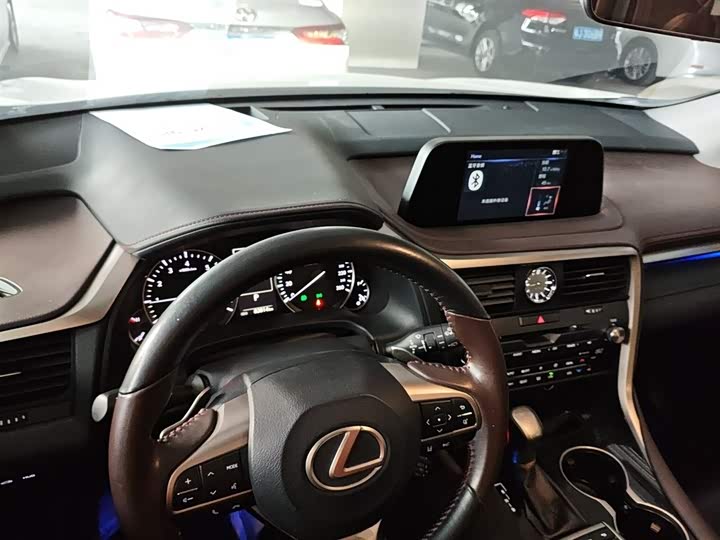 Фото 10 - Lexus RX