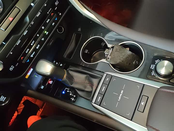 Фото 14 - Lexus RX