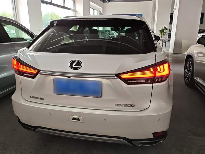 Фото 6 - Lexus RX