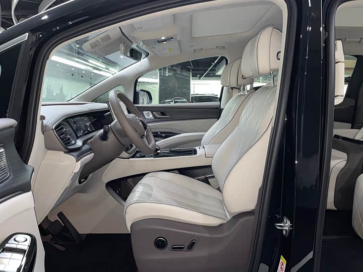 Фото 11 - Denza D9