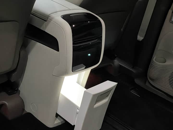 Фото 15 - Denza D9