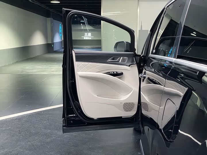 Фото 16 - Denza D9