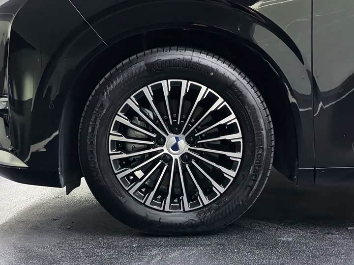 Фото 19 - Denza D9