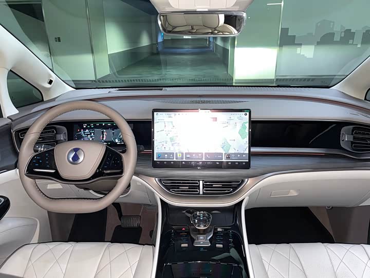 Фото 4 - Denza D9