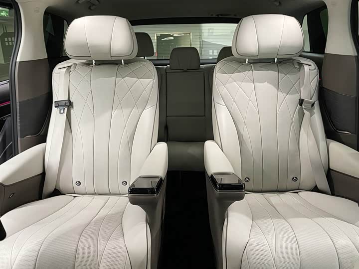 Фото 9 - Denza D9