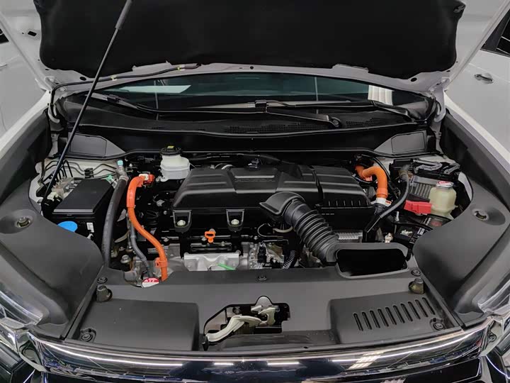 Фото 20 - Honda Elysion