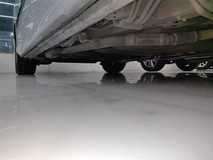 Фото 21 - Honda Elysion