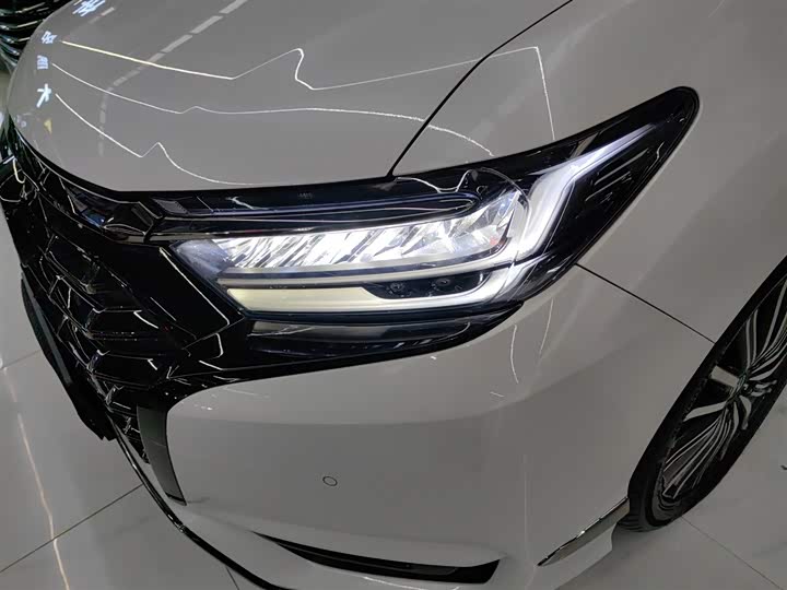 Фото 24 - Honda Elysion