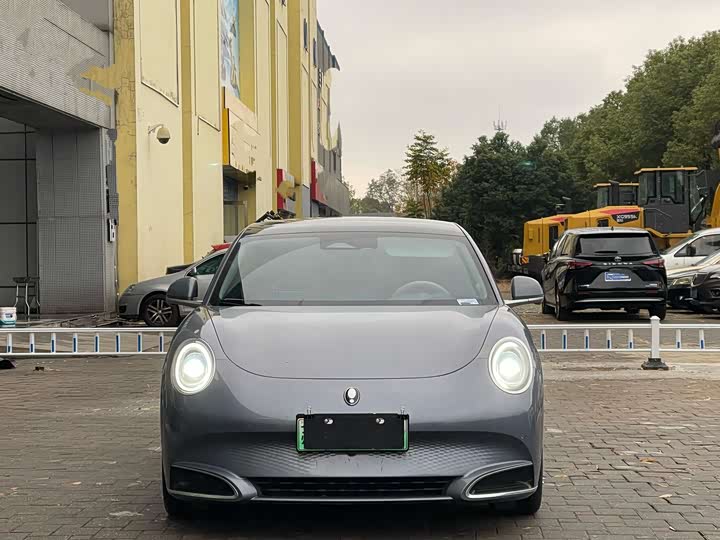 Фото 2 - Ora Lightning Cat (07)