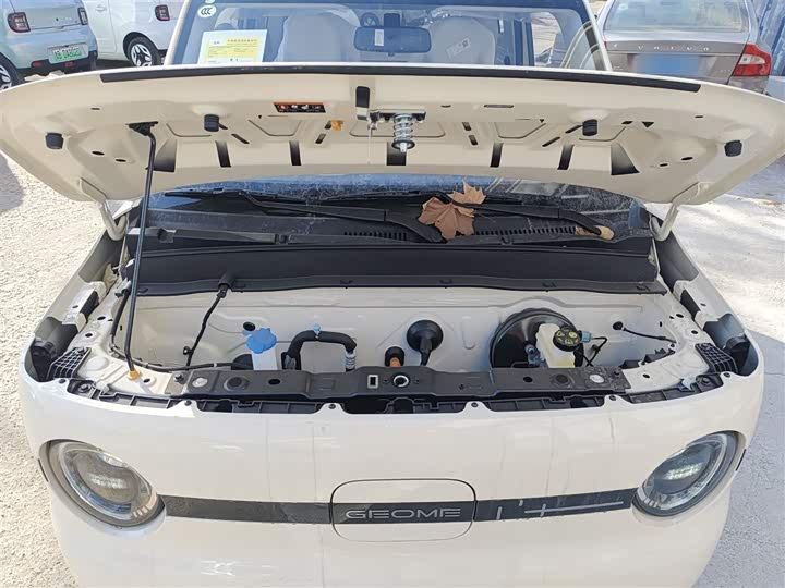 Фото 20 - Geely Galaxy Panda Mini