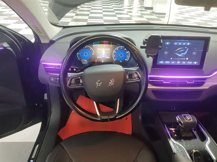 Фото 11 - Hongqi E-QM5