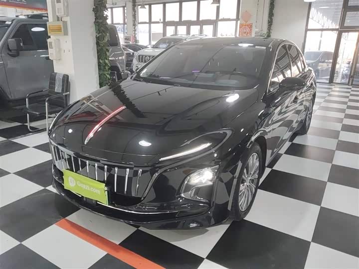 Фото 2 - Hongqi E-QM5